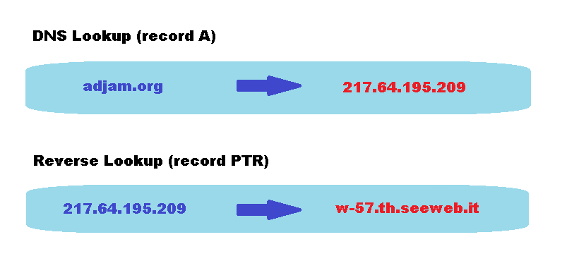 DNS Lookup